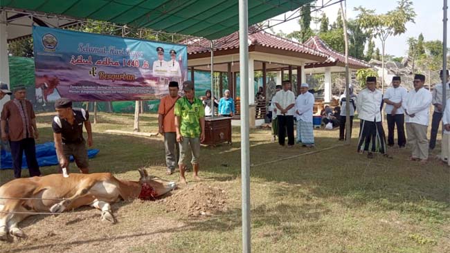 Bupati Bangkalan, R Abdul Latif Amin Imron Saat menyaksikan Penyembelihan Sapi di Halaman Pendopo Agung,(11/8/2019)